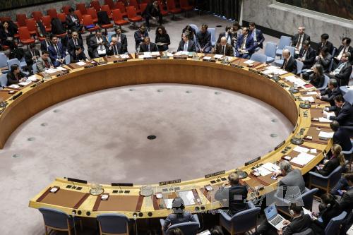 Hội đồng Bảo an Liên hợp quốc chuẩn bị bỏ phiếu về lệnh ngừng bắn ở Syria ảnh 1